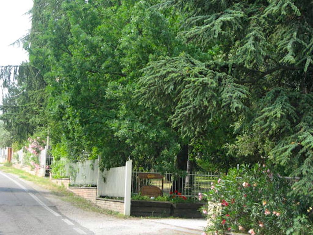 B&B Mama Rò Cesena Exterior foto